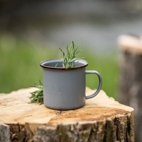 Image of Barebones Enamel Cups, Set of 2
