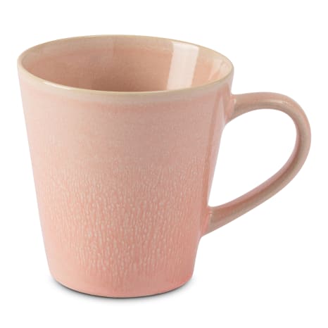 Image of Salisbury & Co Grande Earth Mug, 420ml