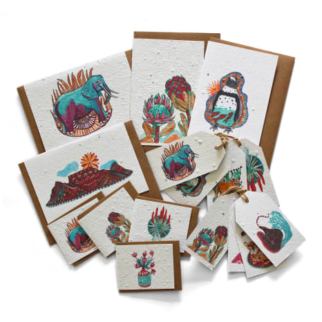 Image of Growing Paper Colour Me Africa Greeting Cards Set