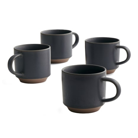 Image of Salisbury & Co Terra Mugs, Set of 4