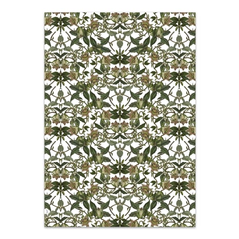 Image of Hendrik Willem White Botanicals Wrapping Paper