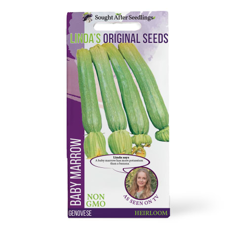Image of Linda's Seeds Genovese Baby Marrow Seeds