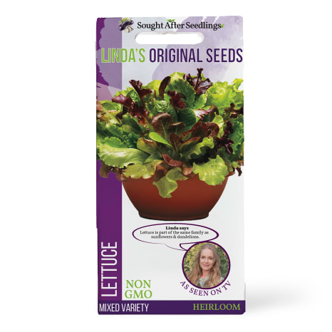 Image of Linda's Seeds Mixed Variety Lettuce Seeds