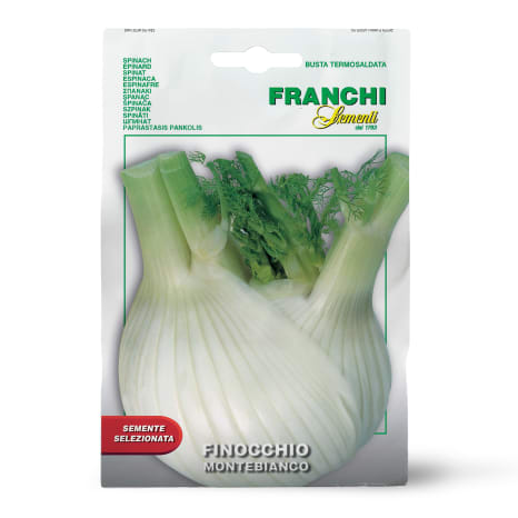 Image of Franchi Sementi Seeds Montebianco Fennel Seeds, 5g