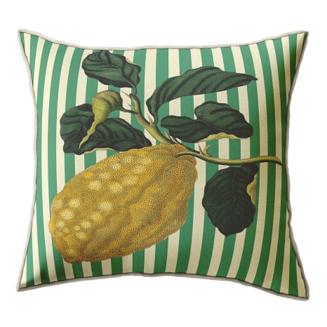 Image of Cara Saven Decor Striped Citron Printed Scatter Cushion with Feather Inner, 60cm x 60cm