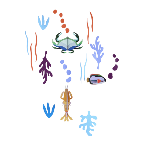 Image of Studio ROOF Small Wall of Curiosities Ocean's Tale Wall Art Set