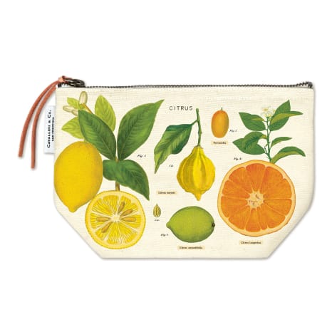 Image of Cavallini & Co Citrus Vintage Stationery Pouch