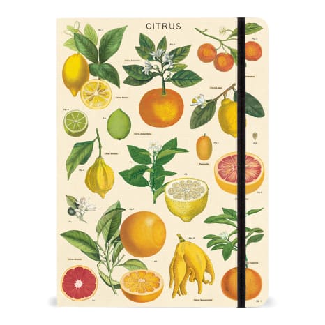 Image of Cavallini & Co Citrus Large Notebook