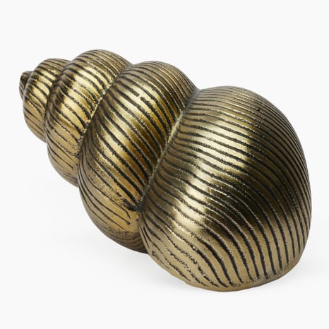Image of Thread Office Cast Aluminum Antique Gold Cantharus Shell
