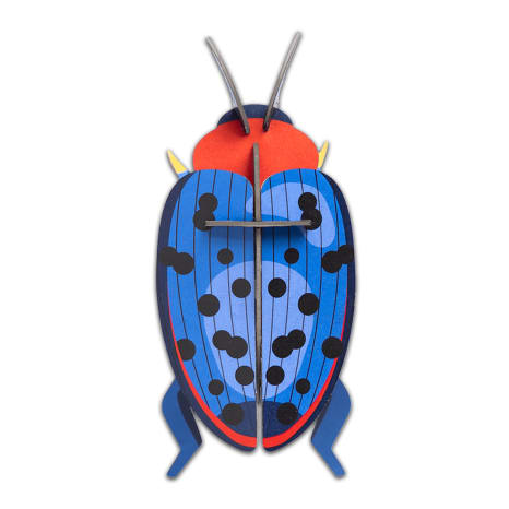 Image of Studio ROOF Beetle — Fungus