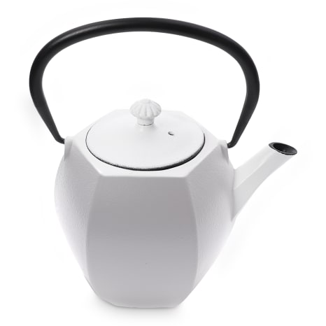 Image of Regent Nambu Tekki White Japanese Teapot, 800ml