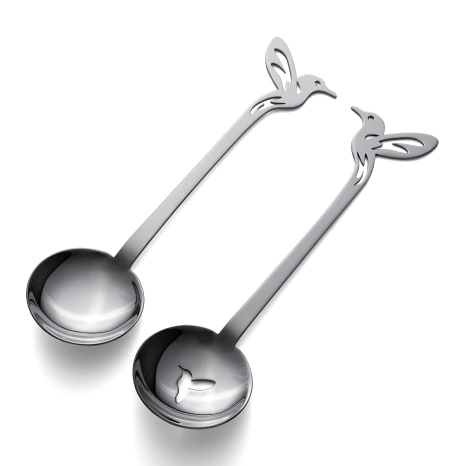 Image of Carrol Boyes Hummingbird Medium Salad Servers, Set of 2