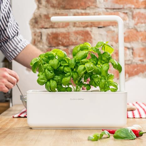 Image of Indoor Herb Planters & Keepers