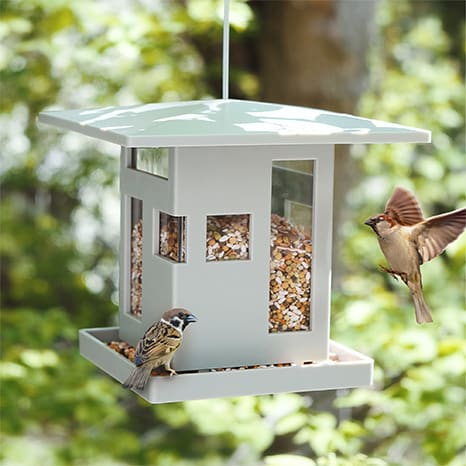 Image of Bird Feeders