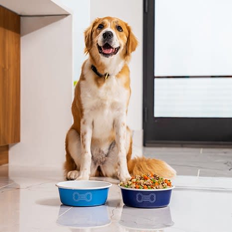 Image of Pets' Dinnerware