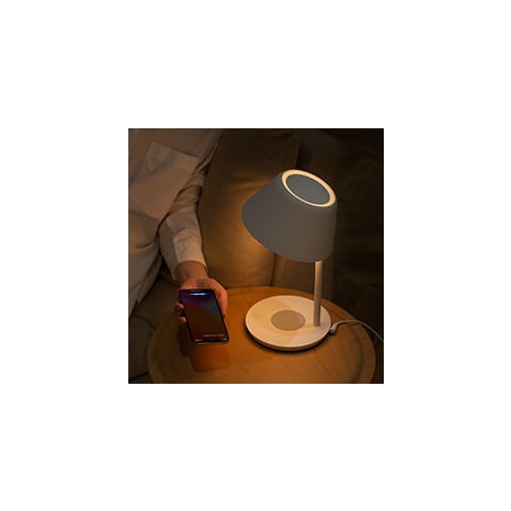 Image of The Tech Savvy