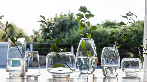 NEW Summer updates - Organic glass vases, textured bowls & more