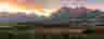 Banner image of Fairview Wines
