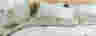 Banner image of Bedding