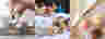 Banner image of Sweetly Does It