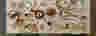 Banner image of Restorative Neutrals