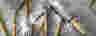 Banner image of Eetrite
