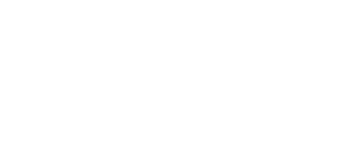 Eva Solo logo