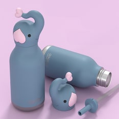 Asobu Vacuum Insulated Bestie Bottle, 460ml