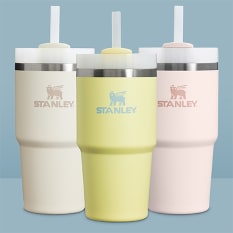 Stanley The Quencher FlowState Tumbler, 600ml