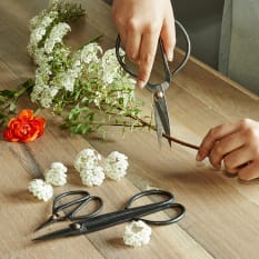 Kikkerland Garden Scissors, Set of 3