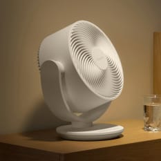 Summer Fans