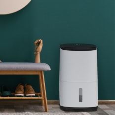 Air Purifiers & Diffusers