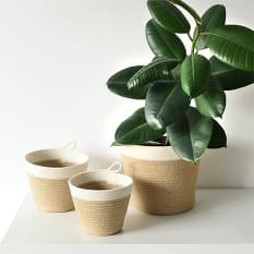 Self-watering indoor planter for a home office