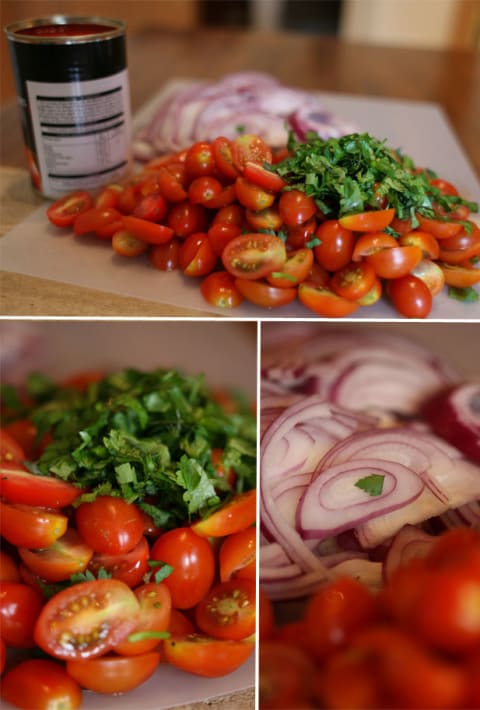 Tomato and onion preparation