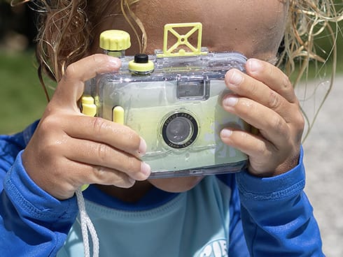 Sun-soaked moments, captured 📸