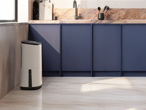 🤫 Our secret to dry laundry in half the time? This dehumidifier!