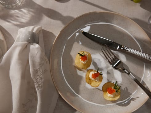 Yuppiechef Fiesta Stoneware Dinner Plates