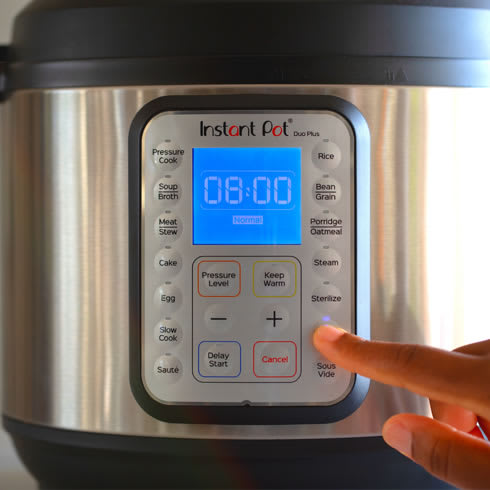 The Instant Pot Duo Plus