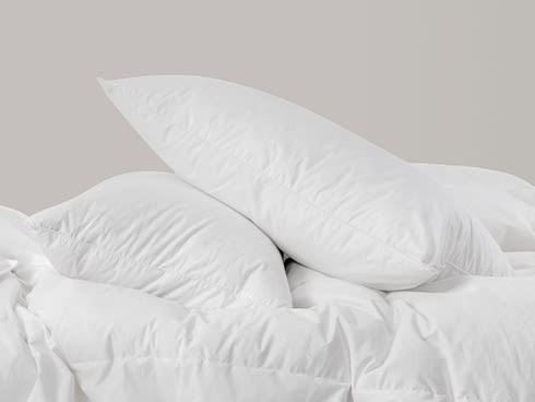 Thread Office duck down pillow inners 