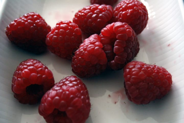 Raspberries yoghurt panna cotta