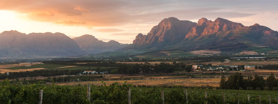 Banner image of Fairview Wines
