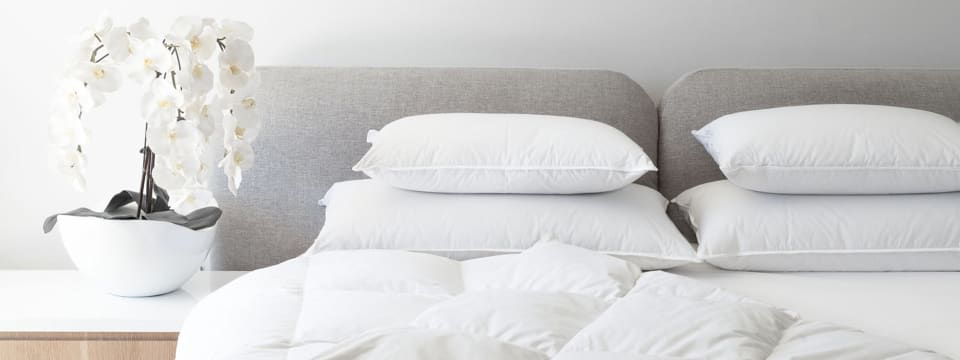 Banner image of Royal Comfort