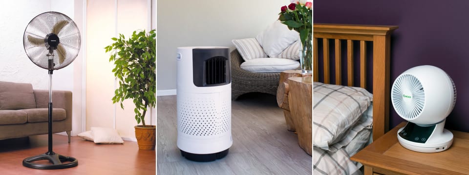 Banner image of Summer Fans