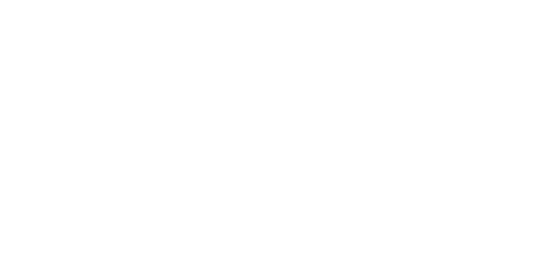 Blim Plus logo