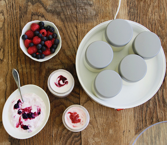 How to use yogurt maker cheap