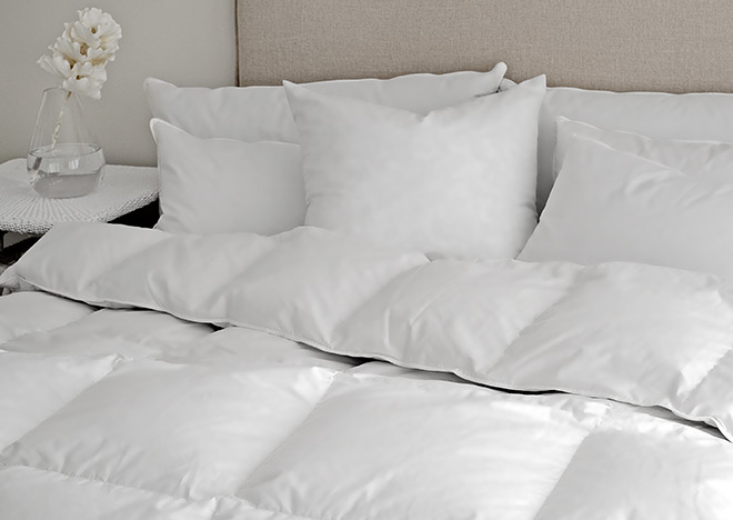 woolworths duck feather pillows