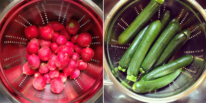 pickling-ingredients