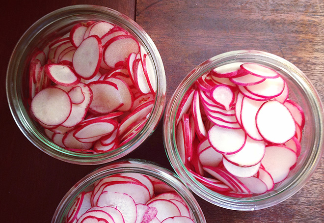 pickeled-radishes