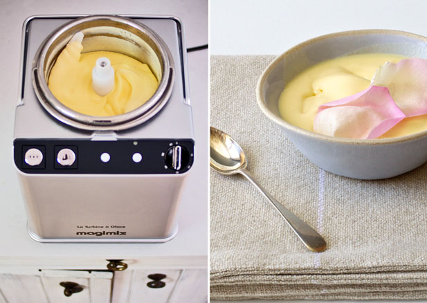 magimix le glacier ice cream maker recipes