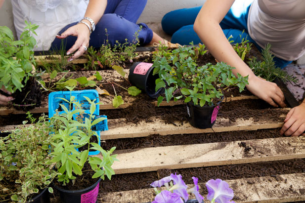 Filling pallet garden with soil